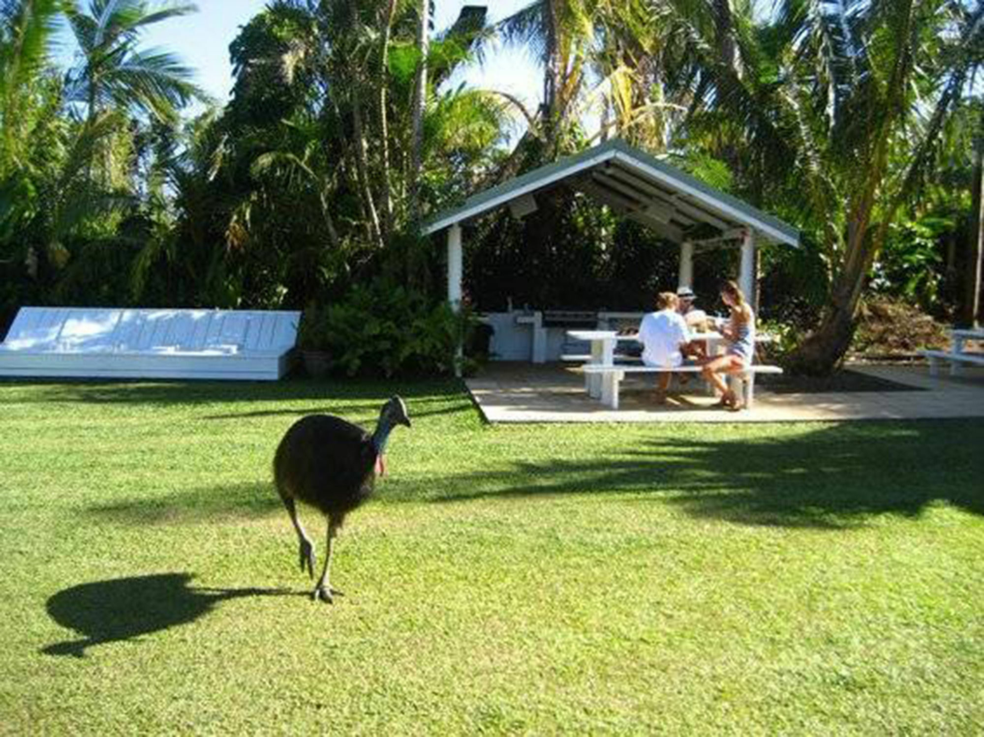 Absolute Backpackers Mission Beach Kültér fotó